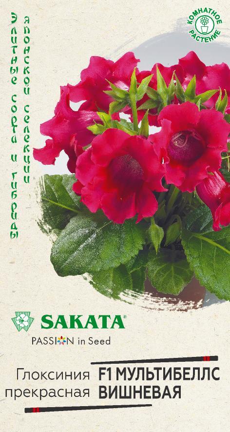 Глоксиния Мультибеллс F1 вишневая 4шт (Гавриш)