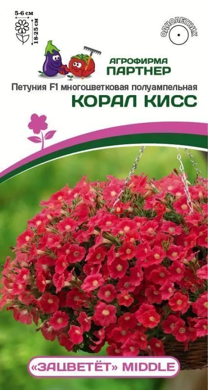 Петуния ЗАЦВЕТЁТ Middle Корал Кисс F1 полуампельная однолетник 5шт (Партнер)