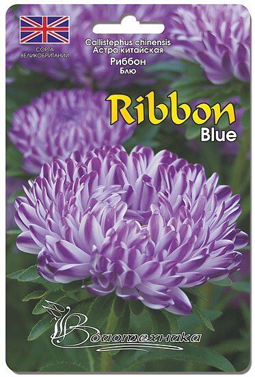 Астра РИББОН Синий 30шт (Биотехника)