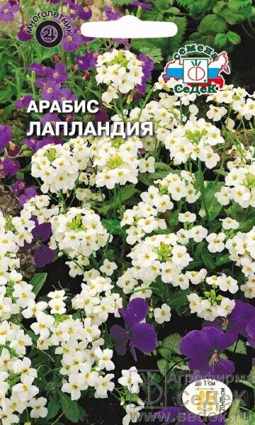 Арабис Лапландия многолетник 0,1г (Седек)
