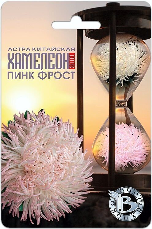 Астра ХАМЕЛЕОН Селект Пинк Фрост однолетник 30шт (Биотехника)