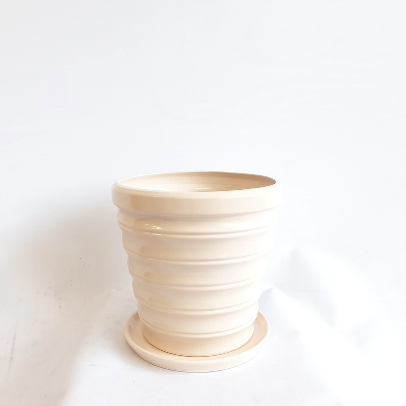 Бамбук №4 1,15л (в.14,2 д.14,5(В)