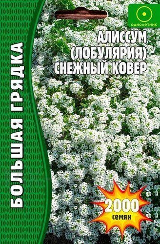 Алиссум Снежный Ковер Большая клумба однолетник 1000шт (Ред.Сем)