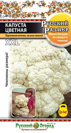 Капуста цветная РУССКИЙ РАЗМЕР 50шт (НК)