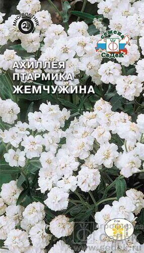 Ахиллея птармика (тысячелистник) Жемчужина многолетник 0,1г (Седек)