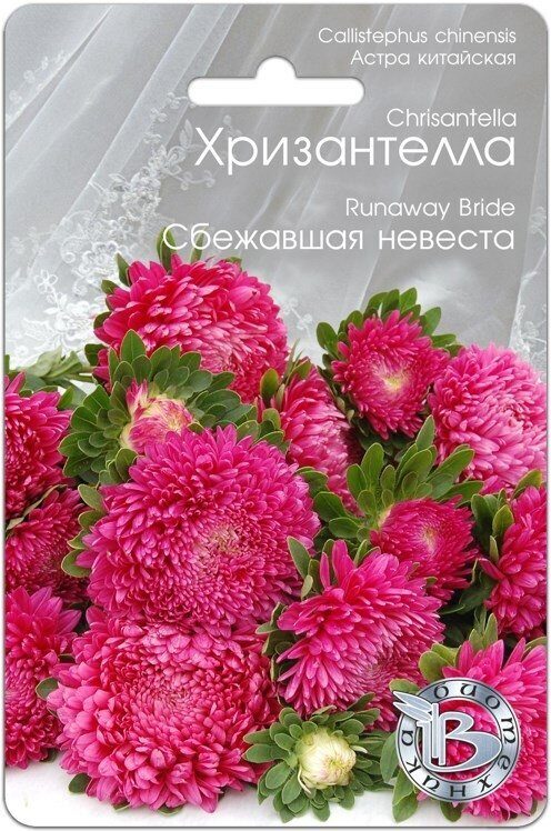 Астра ХРИЗАНТЕЛЛА Сбежавшая невеста однолетник 30шт (Биотехника)