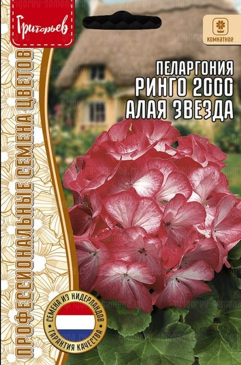Пеларгония Ринго 2000 Алая Звезда F1 зональная 3шт (Ред.Сем)