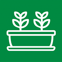 Ящики для рассады