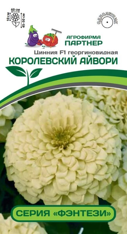 Цинния КОРОЛЕВСКИЙ АЙВОРИ F1 георгиновидная 4шт (Партнер)