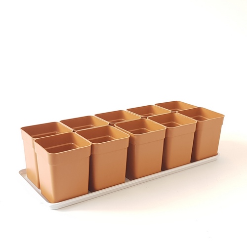 Рассадник 0,9л 10 стаканов+поддон (Симаев)(10шт)