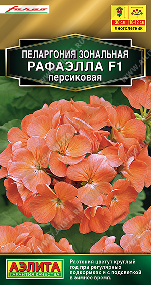 Пеларгония Рафаэлла F1 Персиковая 5шт (Аэлита)