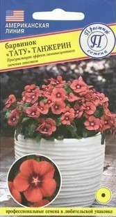 Барвинок Тату Танжерин 3шт (Престиж)