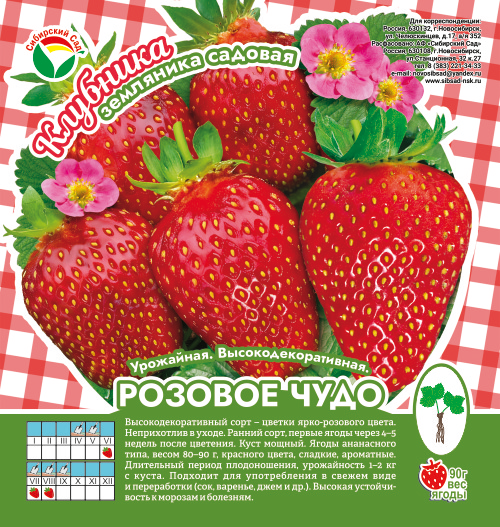 Клубника Розовое Чудо А 10шт/пучок (Сиб сад)