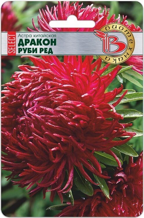 Астра ДРАКОН Селект Руби Ред однолетник 30шт (Биотехника)