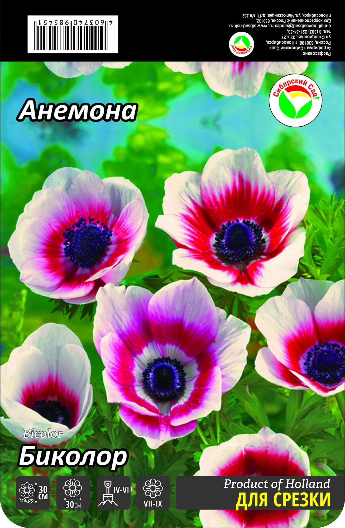 Анемона Биколор 5/6 15шт (Сиб сад)