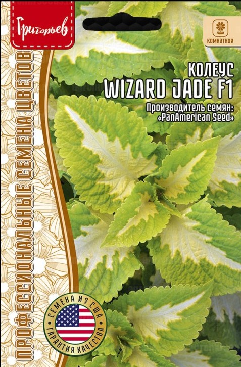 Колеус Wizard Jade F1 5шт (Ред.Сем)