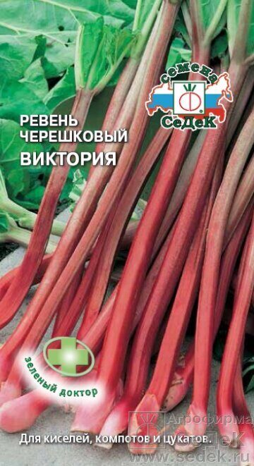 Ревень черешковый Виктория 0,1г (Седек)