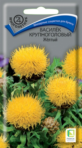 Василёк Жёлтый многолетник 0,8г (Поиск)