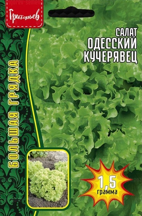 Салат Одесский Кучерявец полукочанный 2г (Ред.сем)