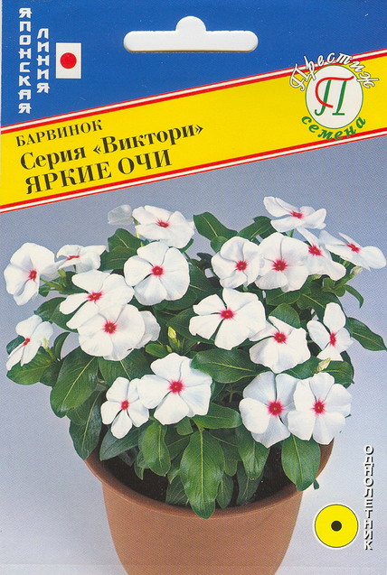 Барвинок Виктори Яркие очи однолетник 10шт (Престиж)