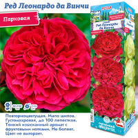 Роза Ред Леонардо да Винчи (Флорибунда) 1шт (Сиб сад)