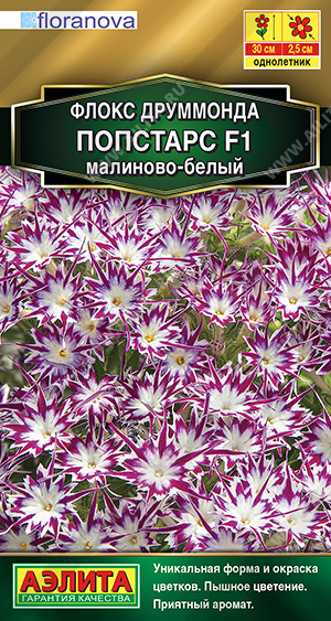 Флокс Друм ПОПСТАР F1 малиново-белый однолетник 5шт (Аэлита)