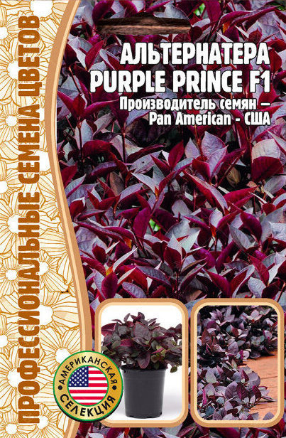 Альтернатера Purple Prince F1 однолетник 3шт (Ред.Сем)