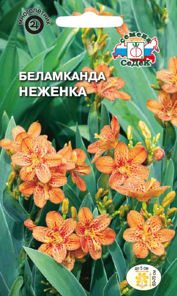 Беламканда Неженка многолетник 0,2г (Седек)