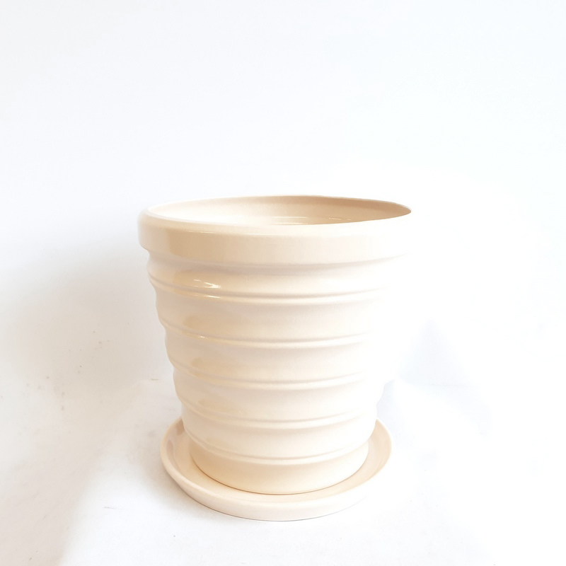 Бамбук №3 2,8л (в.18,3 д.19) (В)