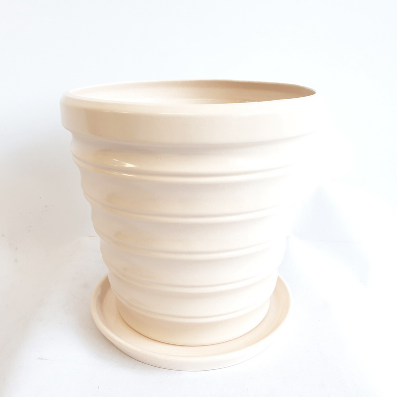 Бамбук №1 10,4л (в.25,5 д.29,2) (В)