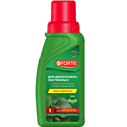Бона Форте для декор лис 285мл Красота (БФ)(20шт)