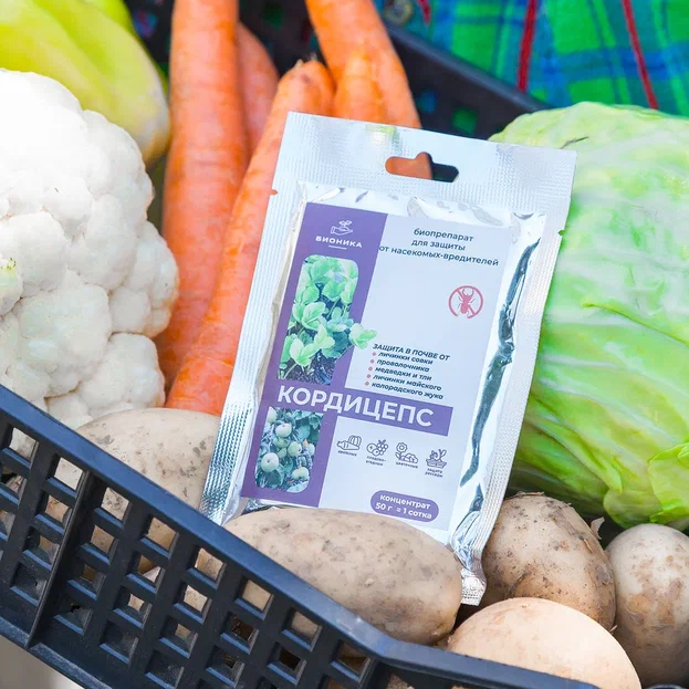 Кордицепс 50г (Бионика)