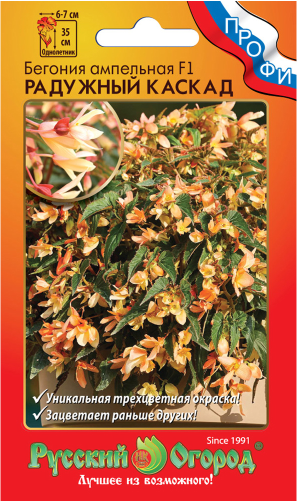Бегония Радужный каскад F1 ампельная ПРОФИ 5шт (НК)