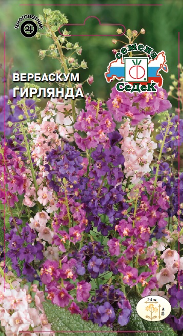 Вербаскум Гирлянда смесь многолетник 0,1г (Седек)