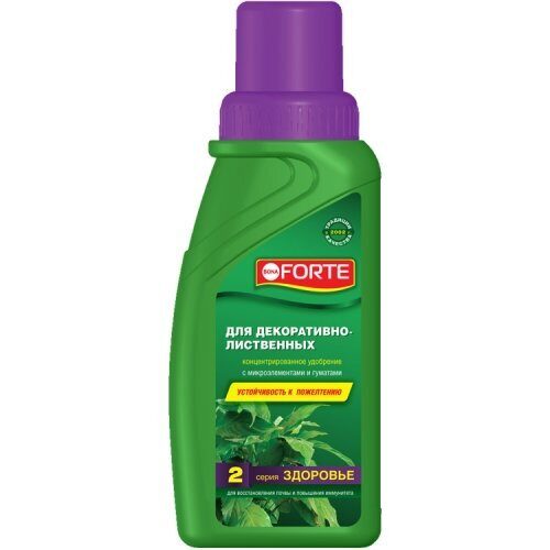 Бона Форте для декор лис 285мл Здоровье (БФ)(20шт)
