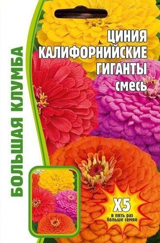 Цинния Калифорнийские гиганты смесь однолетник Большая клумба 50шт (Ред.сем)