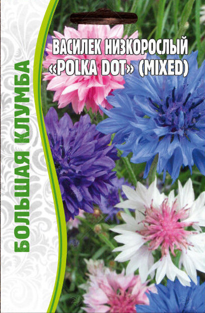 Василек Polka Dot Mixed низкорослый Большая клумба однолетник 1г (Ред.Сем)