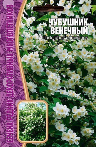 Чубушник Венечный 15шт (Ред.сем)