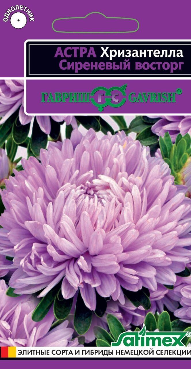 Астра Хризантелла Сиреневый восторг однолетник 0,05г (Гавриш)