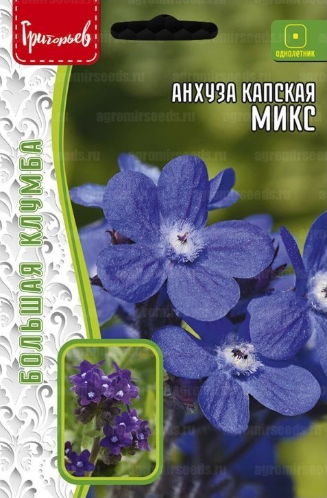 Анхуза капская Микс однолетник  0,1г (Ред.сем)