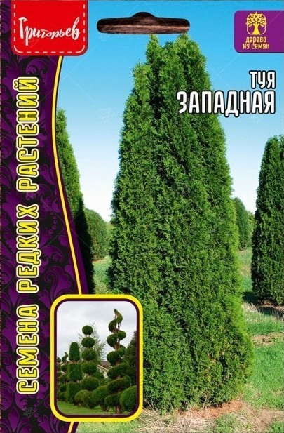 Туя Западная 0,1г (Ред.Сем)