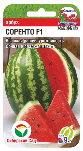 Арбуз Соренто F1 3шт (Сиб Сад)