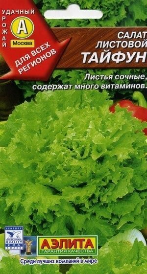 Салат Тайфун листовой 0,5г (Аэлита)