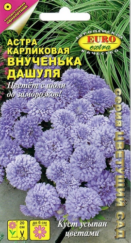Астра Внученька Дашуля карликовая однолетник 0,1г (Аэлита Экстра)