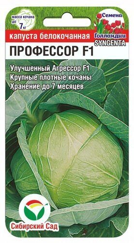 Капуста белокочанная Профессор F1 10шт (Сиб Сад)