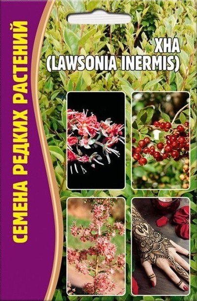 Хна Lawsonia inermis 10шт (Ред.сем)