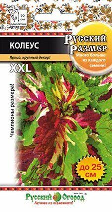 Колеус РУССКИЙ РАЗМЕР однолетник 4шт (НК)