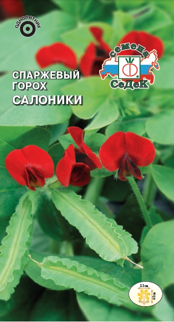 Горох Салоники спаржевый однолетник 0,5г (Седек)