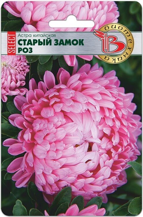Астра СТАРЫЙ ЗАМОК Селект Роз 30шт (Биотехника)