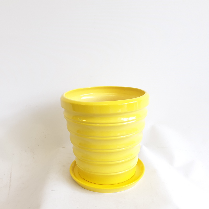 Бамбук Желтый №4 1,15л (в.14,2 д.14,5(В)